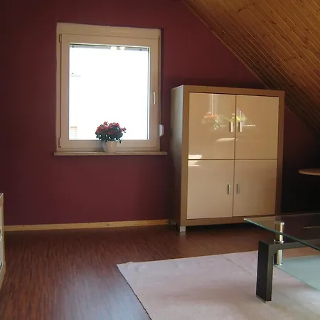 Modern In Near The Forest *